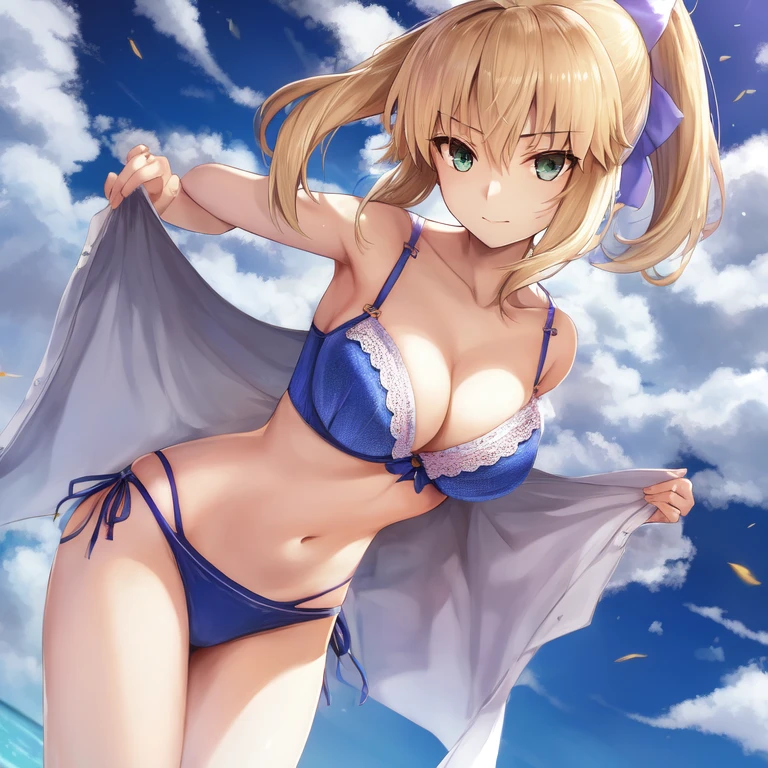 [Holara] Fate Saber Anime style Bra [Illustration]